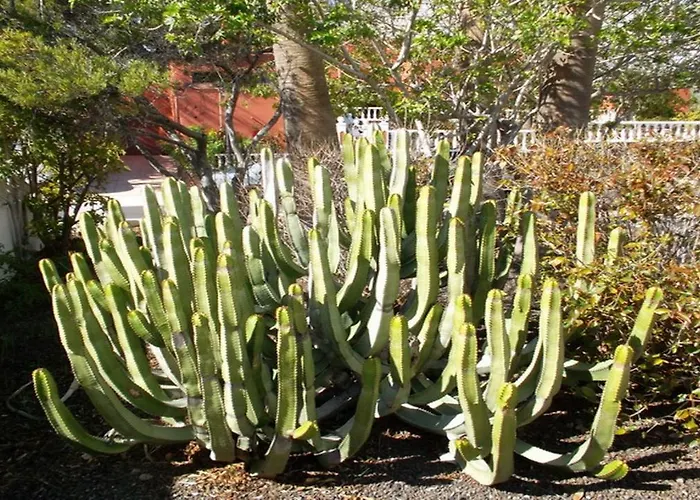 Exclusively Located Golf With Heated Pool * 圣米格尔德阿沃纳