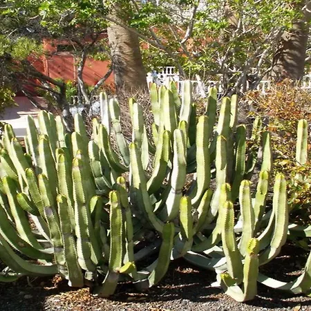 Exclusively Located Golf With Heated Pool * San Miguel de Abona