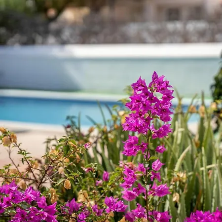 Exclusively Located Golf With Heated Pool Вилла Сан Мигель